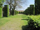 PICTURES/Ghent -  St. Bavo Abbey/t_Columns of Shrubs1.jpg